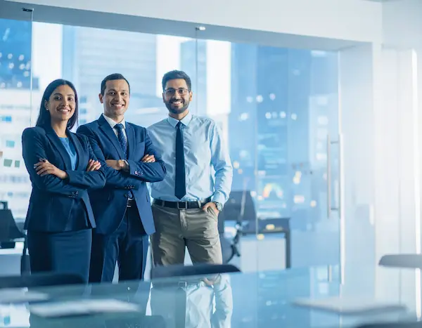 CAMSROY: Professional profile of a Chartered Accountant with expertise in AI-powered finance tools and automation